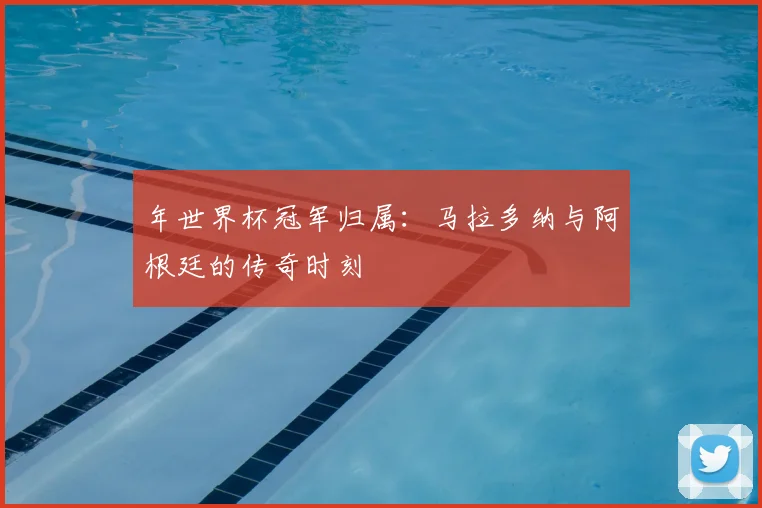 年世界杯冠军归属：马拉多纳与阿根廷的传奇时刻