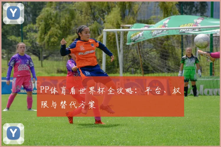 PP体育看世界杯全攻略:平台、权限与替代方案
