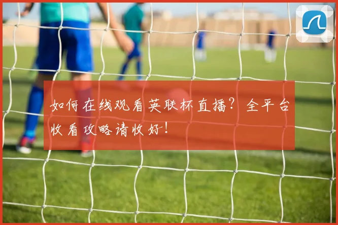 如何在线观看英联杯直播?全平台收看攻略请收好!