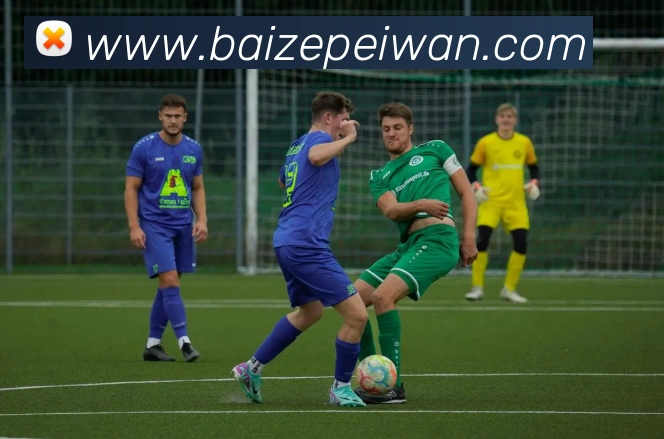 好博体育app登录入口APP 封面图